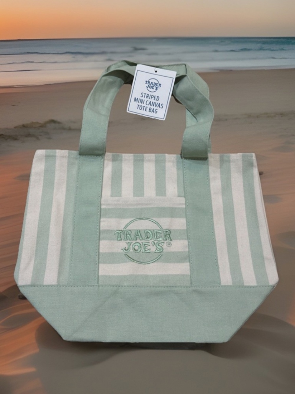 Trader Joe’s Mint Green Striped Canvas Mini Tote Bag Limited Summer 2026 NWT!